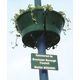 lamp post sign
