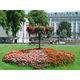 westminster (69)